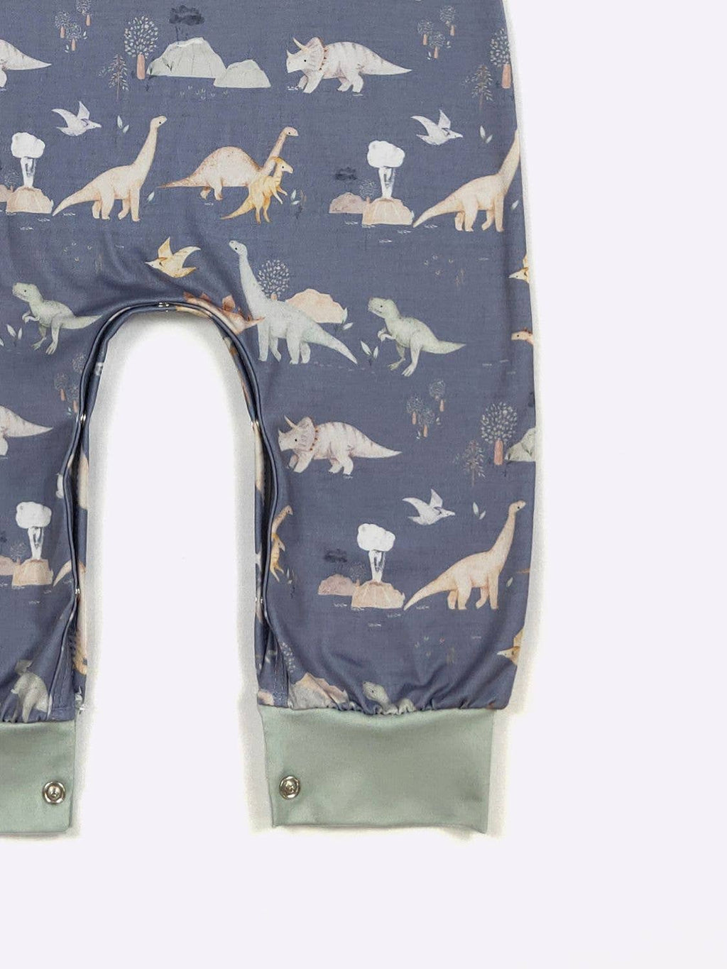Cretaceous Boy Romper