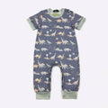 Cretaceous Boy Romper