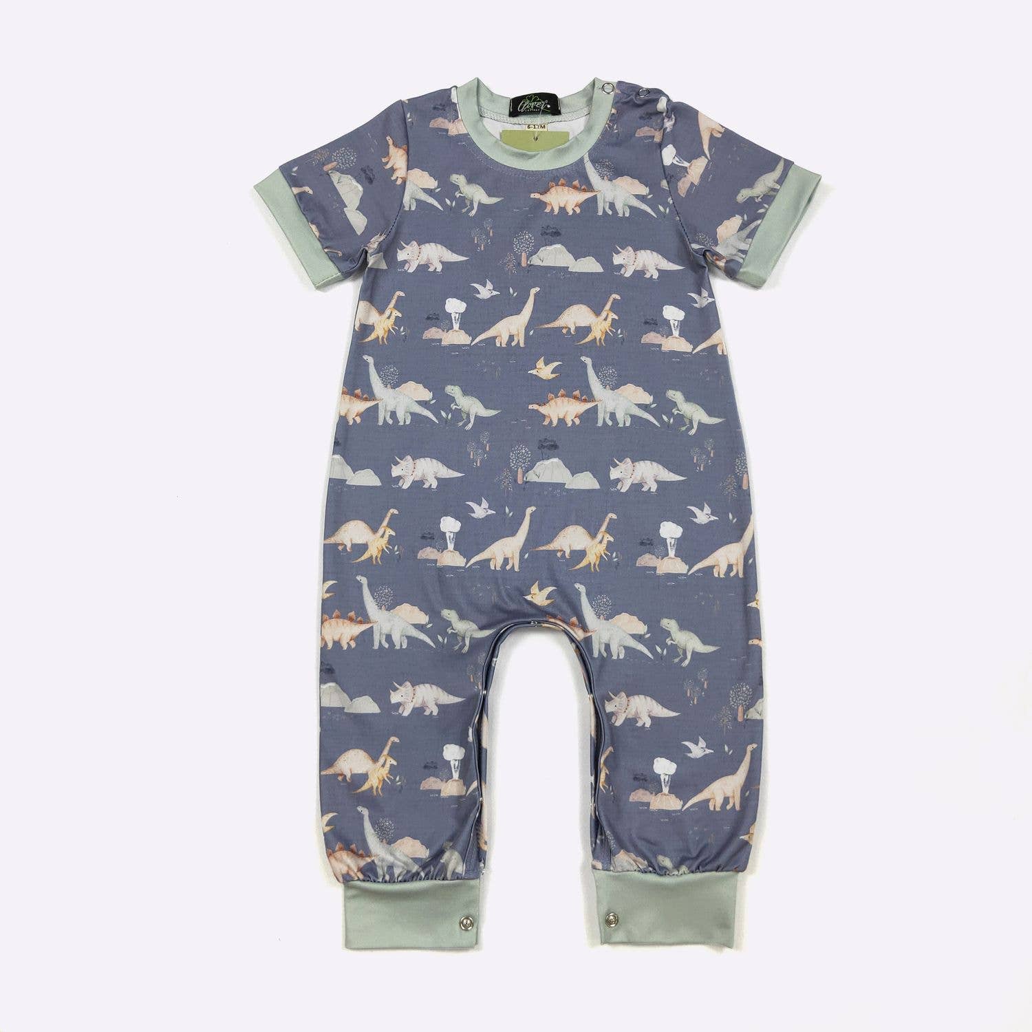 Cretaceous Boy Romper