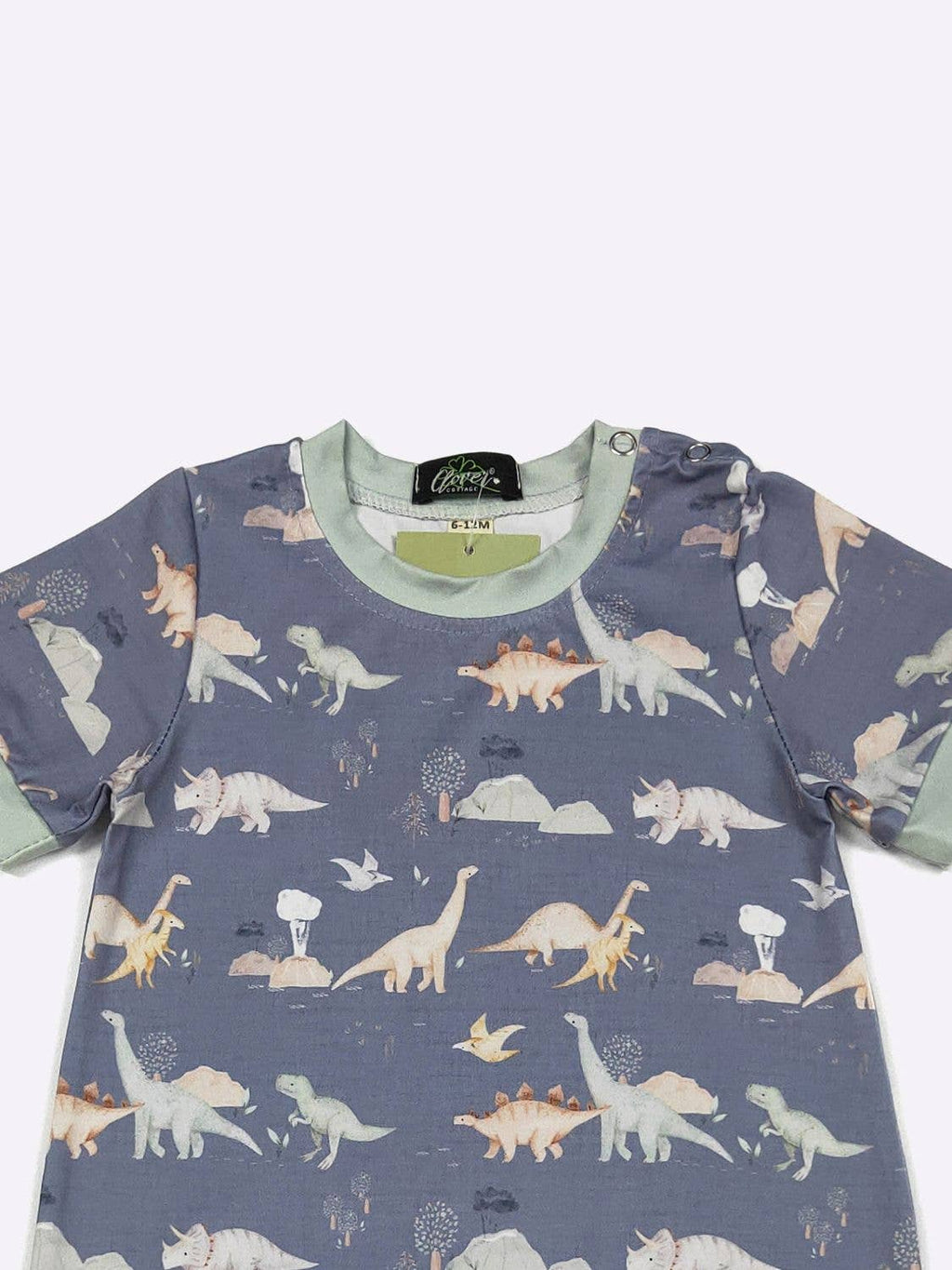 Cretaceous Boy Romper