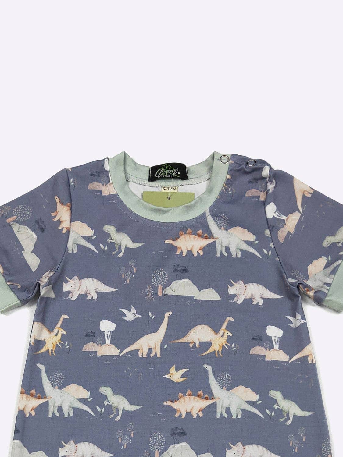 Cretaceous Boy Romper