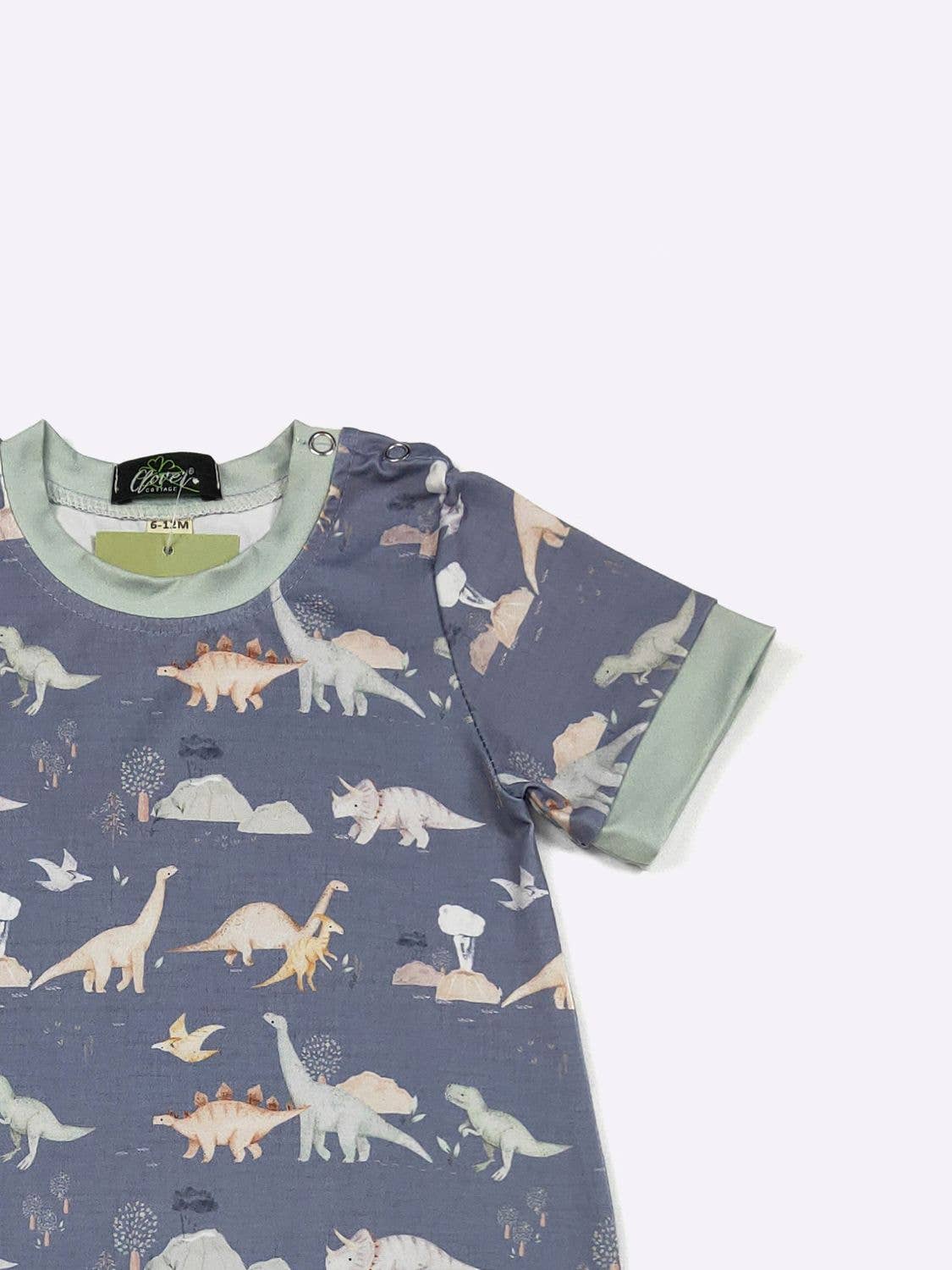 Cretaceous Boy Romper