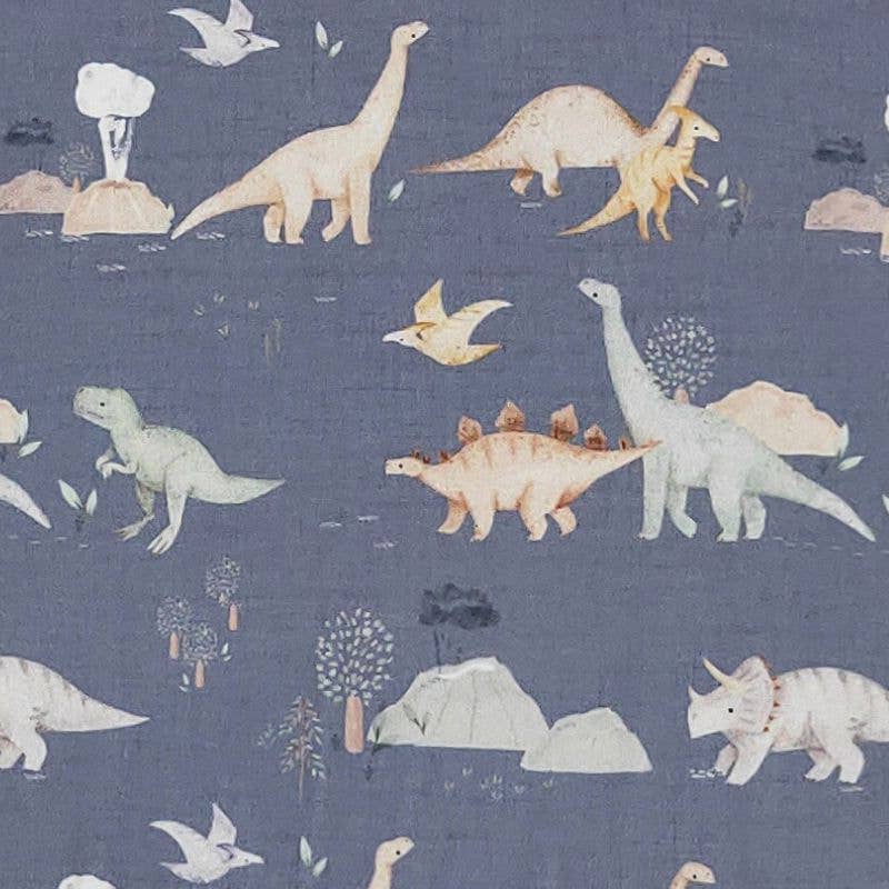 Cretaceous Boy Romper